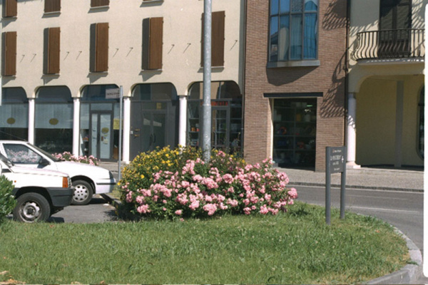 lavori cityflor 038